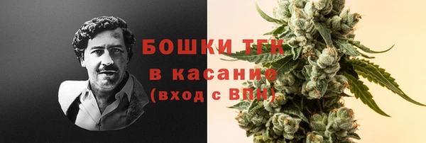 каннабис Аркадак