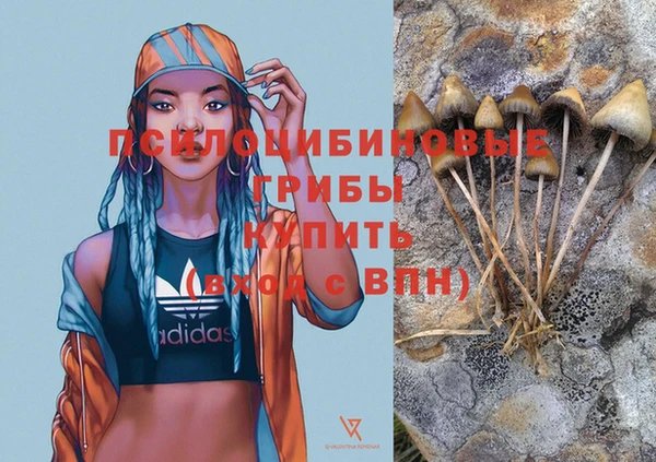 каннабис Аркадак