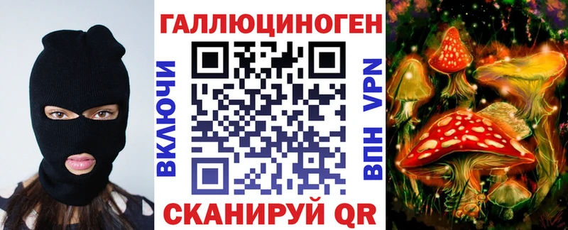 omg рабочий сайт  Наволоки  Псилоцибиновые грибы Psilocybe 